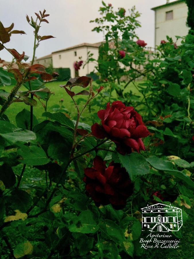 Agriturismo Borgo Buzzaccarini Rocca Di Castello モンセーリチェ エクステリア 写真