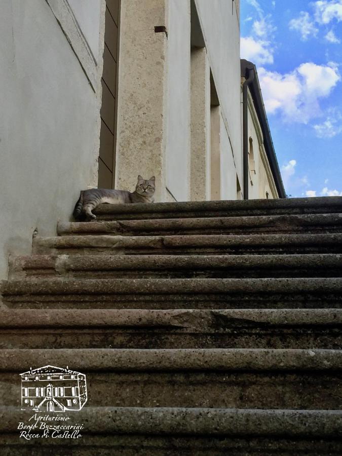 Agriturismo Borgo Buzzaccarini Rocca Di Castello モンセーリチェ エクステリア 写真