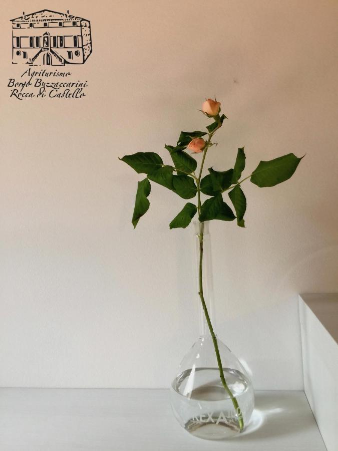 Agriturismo Borgo Buzzaccarini Rocca Di Castello モンセーリチェ エクステリア 写真